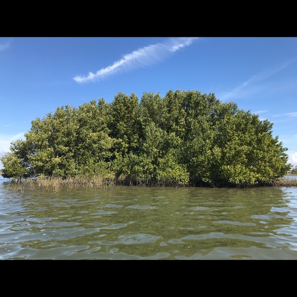 Meet your Posher, David - Picture 1 of 1